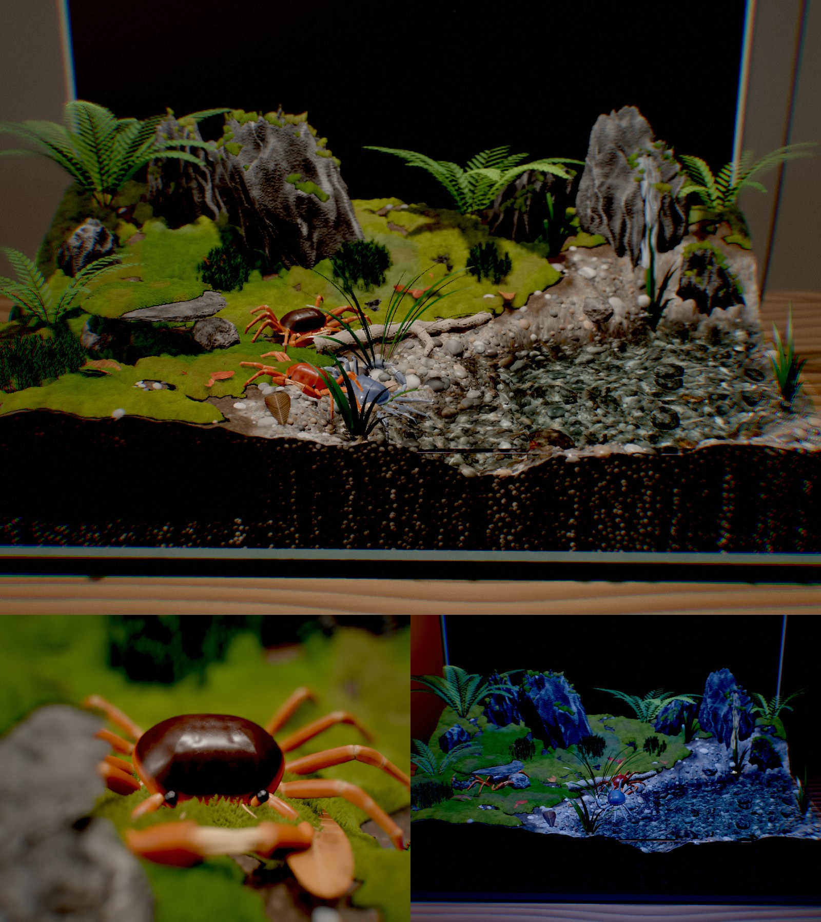 サワガニ水槽の紹介画像